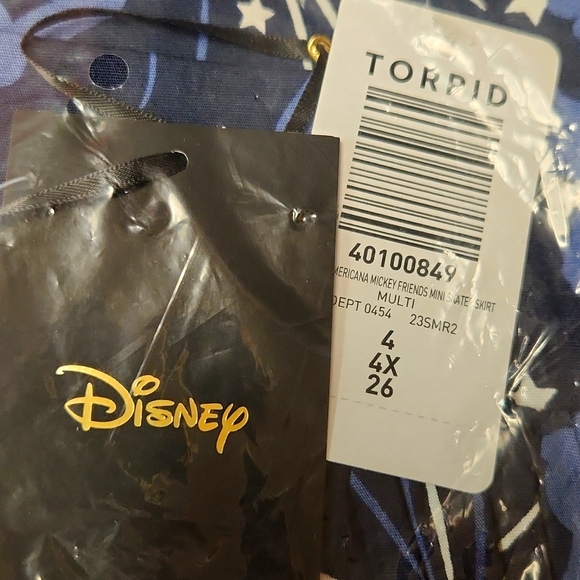 ❤NWT VINTAGE TORRID SKATER SKIRT - POCKETS MICKEY MINNIE MOUSE DISNEY PLUS SIZE - Picture 11 of 15